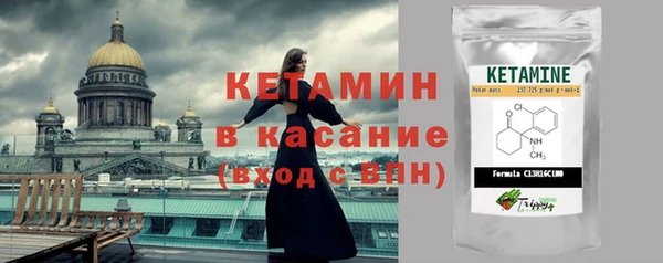 шишки Абаза
