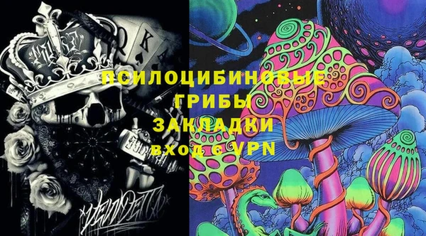 шишки Абаза