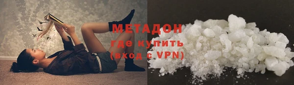 шишки Абаза