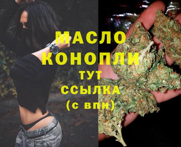 стаф Аркадак