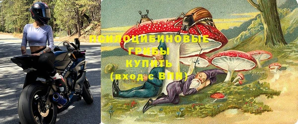 каннабис Алзамай