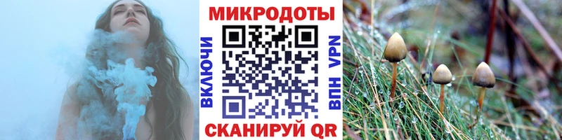блэк спрут зеркало  Полтавская  Галлюциногенные грибы Psilocybine cubensis  даркнет сайт 
